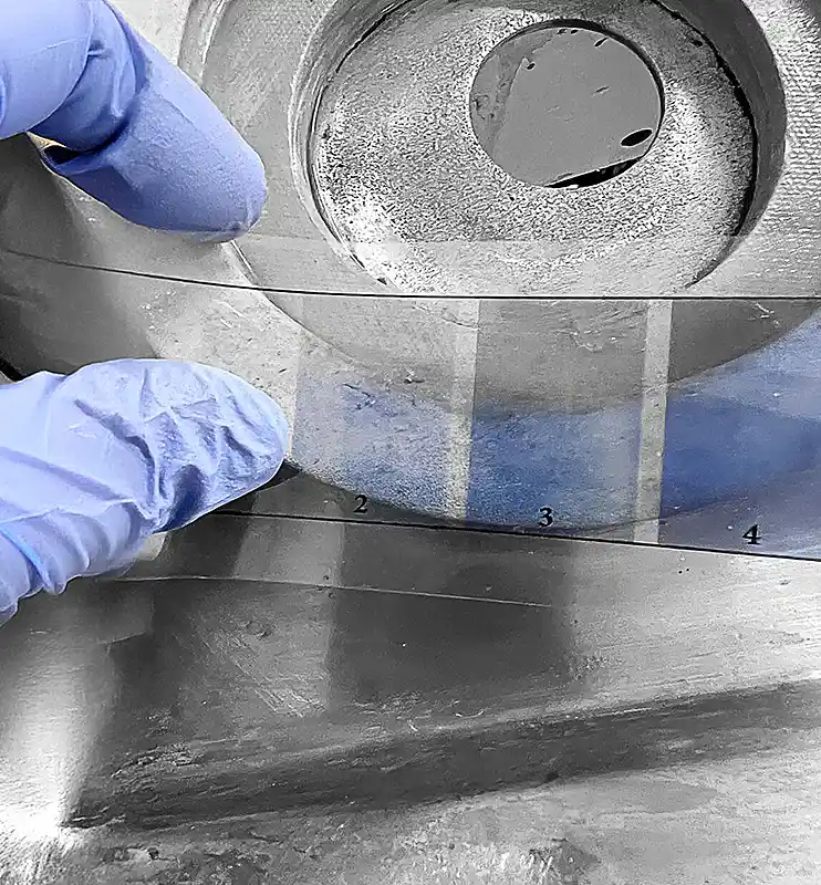 Biofilm-Inset